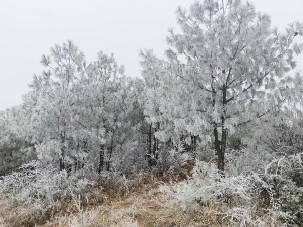 多地出现凝冻天气，气温持续下降，地势高处伴有道路结冰，请注意防范！