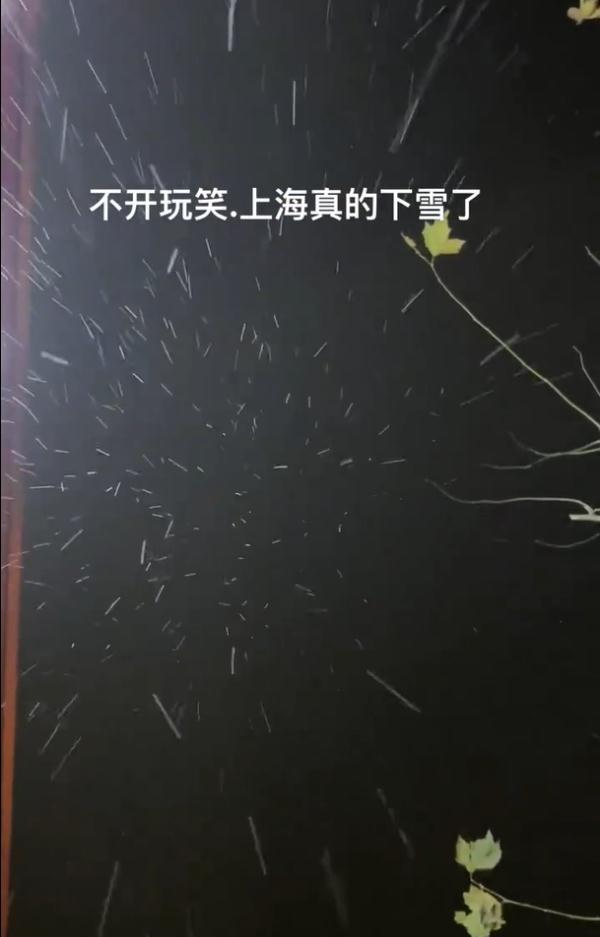 不开玩笑，上海真的下雪了！