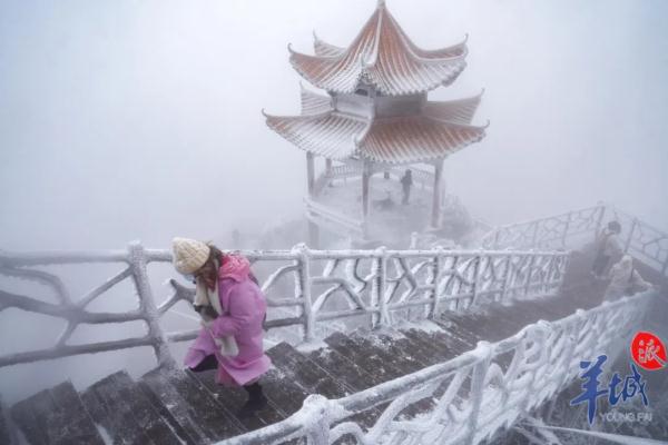 真的实现了!广东下雪了! 真的实现了!广东下雪了!