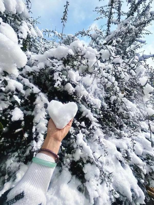 “山舞银蛇，原驰蜡象”！《沁园春·雪》在烟台！