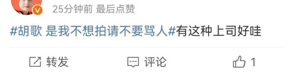 胡歌：请不要骂人