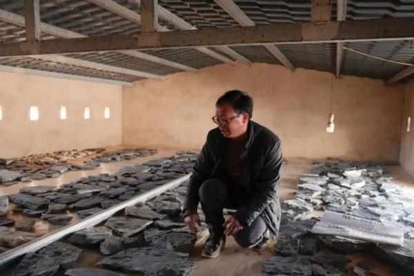 云南一工地发现大量古生物化石！