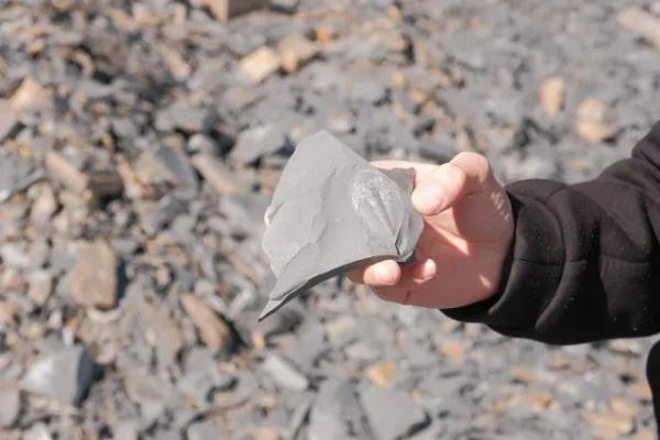 云南一工地发现大量古生物化石！