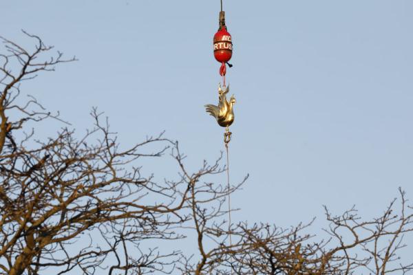 巴黎圣母院塔尖安装全新公鸡像 巴黎圣母院塔尖安装全新公鸡像