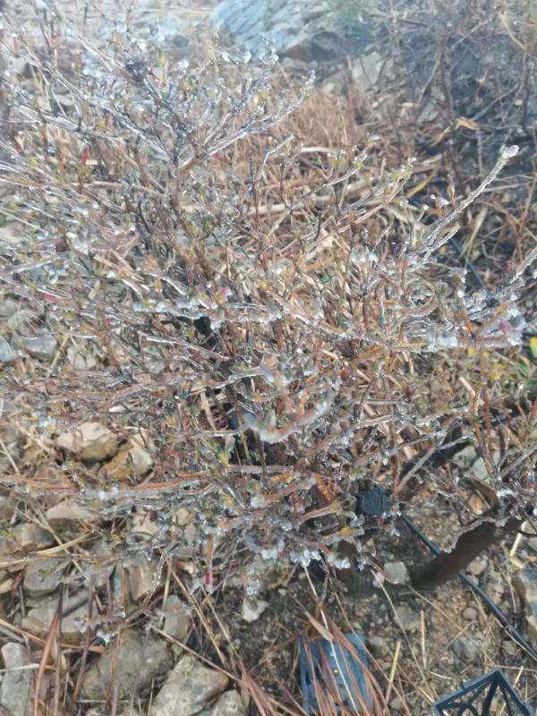 绝美！杭州这里现罕见“奇观”，网友拍下来了