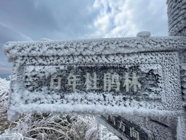 绝美！杭州这里现罕见“奇观”，网友拍下来了