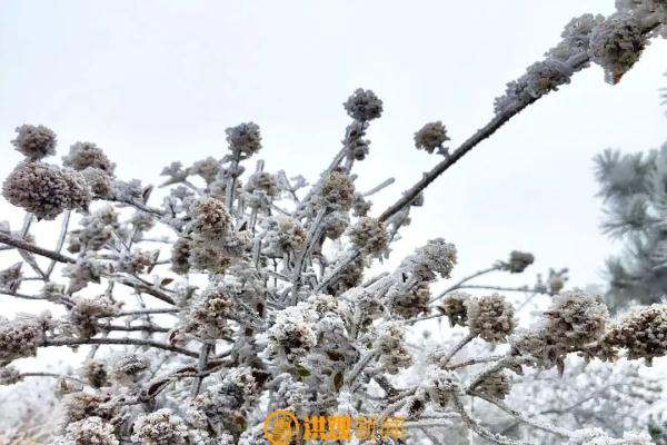 南昌梅岭一幕！美爆了