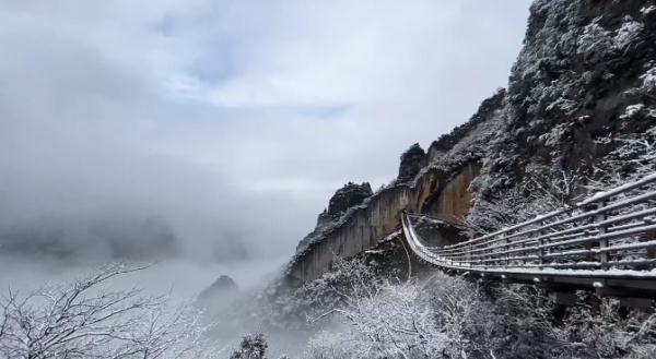 重庆17区县下雪！城口黄安坝最低气温-11.8℃