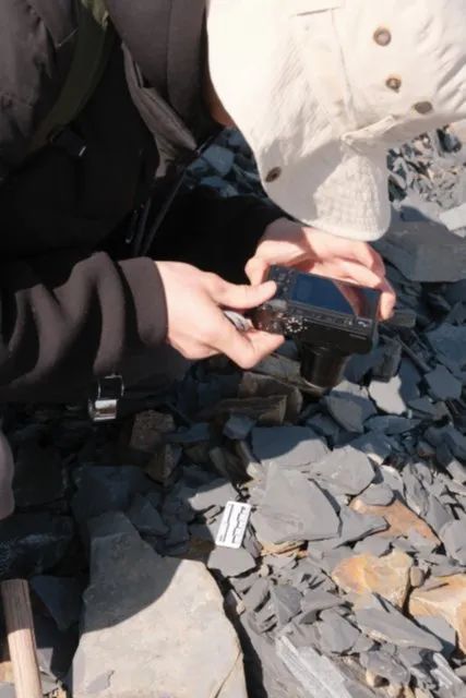 云南一工地发现大量古生物化石！