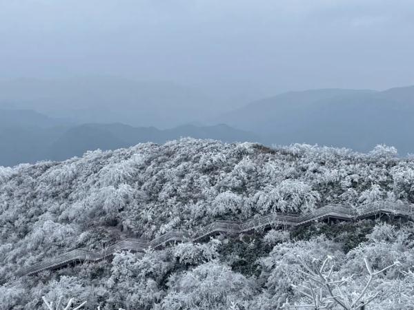 绝美！杭州这里现罕见“奇观”，网友拍下来了