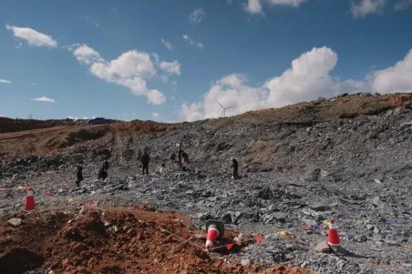 云南一工地发现大量古生物化石！