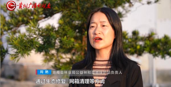 蓝翡翠、白鹭、斑嘴鸭……都来贵州过冬了！网友：像画卷一样美