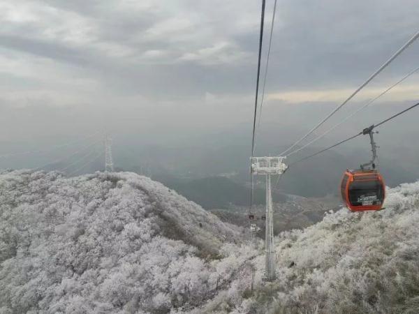 “像酱鸭一样被挂了两个多小时！”50余人被困雪后空中缆车，惊险！