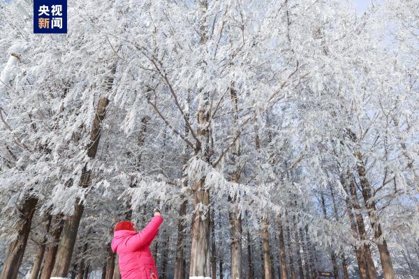 赴一场冬日童话！带你打卡鸭绿江绝美雾凇
