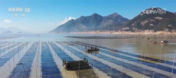 以高质量发展推进中国式现代化 人民生活呈现万千气象