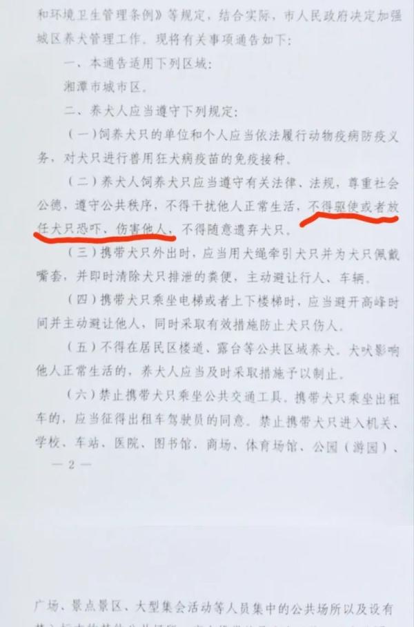 大黑狗死死咬住过路女子手臂，扫把打断都不松口，官方回应→