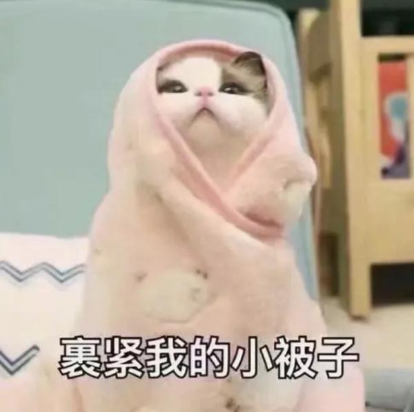 上海人激动了！纷纷举起了衣袖，终于盼来了→