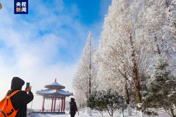 赴一场冬日童话！带你打卡鸭绿江绝美雾凇