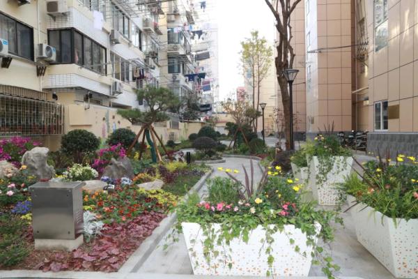 数量多类型杂、施工难度大,黄浦如何啃下旧住房修缮“硬骨头”? 数量多类型杂、施工难度大,黄浦如何啃下旧住房修缮“硬骨头”?