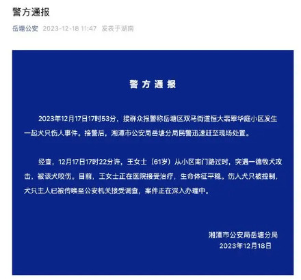警方通报湖南一女子遭黑狗撕咬脖子