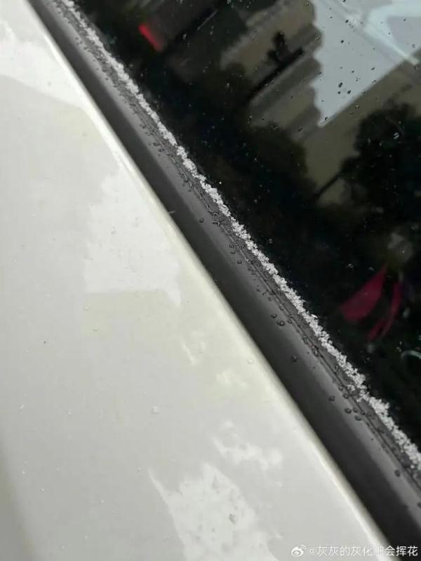 上海人激动了！纷纷举起了衣袖，终于盼来了→