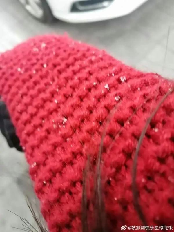 上海人激动了！纷纷举起了衣袖，终于盼来了→