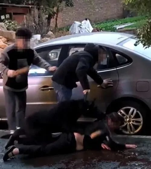 警方通报！“女子遭黑狗撕咬”