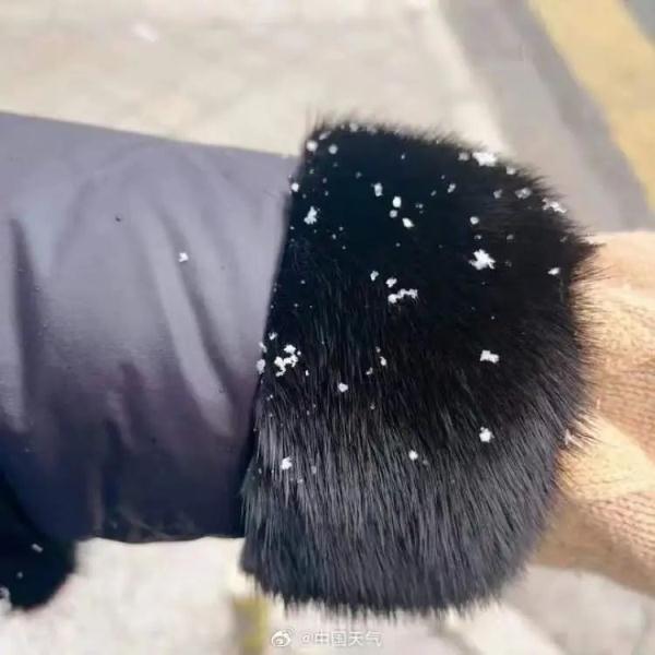 上海人激动了！纷纷举起了衣袖，终于盼来了→