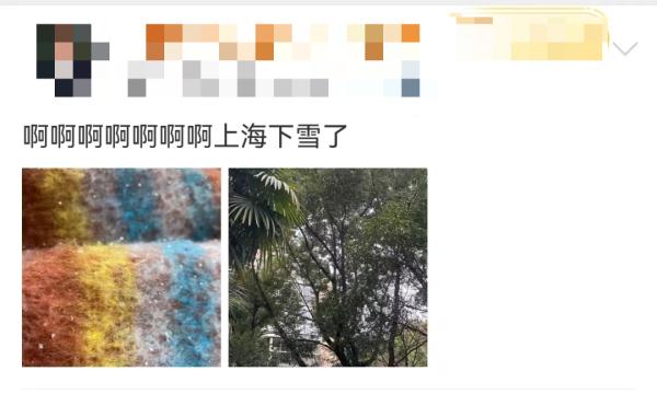 上海人激动了！纷纷举起了衣袖，终于盼来了→