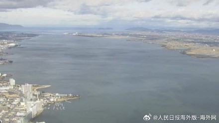 日本最大湖泊大批水鸟死亡:原因不明 专家呼吁不要接触尸体 日本最大湖泊大批水鸟死亡:原因不明 专家呼吁不要接触尸体
