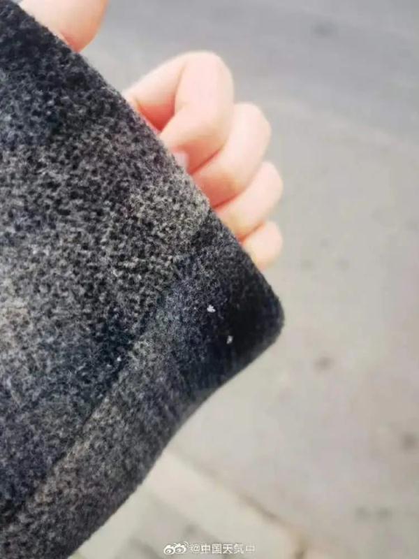 上海人激动了！纷纷举起了衣袖，终于盼来了→