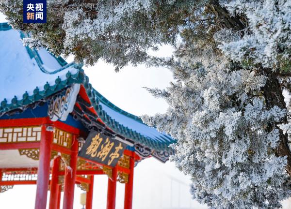 赴一场冬日童话！带你打卡鸭绿江绝美雾凇