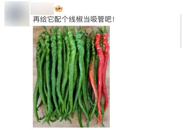 青椒拿铁火了？！还有这些“黑暗料理”，你敢喝吗？