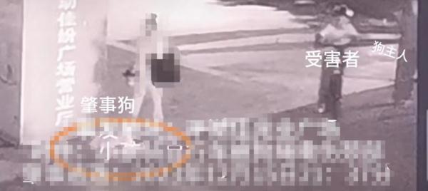 深圳9岁男孩骑单车脖子被狗绳勒伤?回应:已找到狗主人,正组织协商 深圳9岁男孩骑单车脖子被狗绳勒伤?回应:已找到狗主人,正组织协商