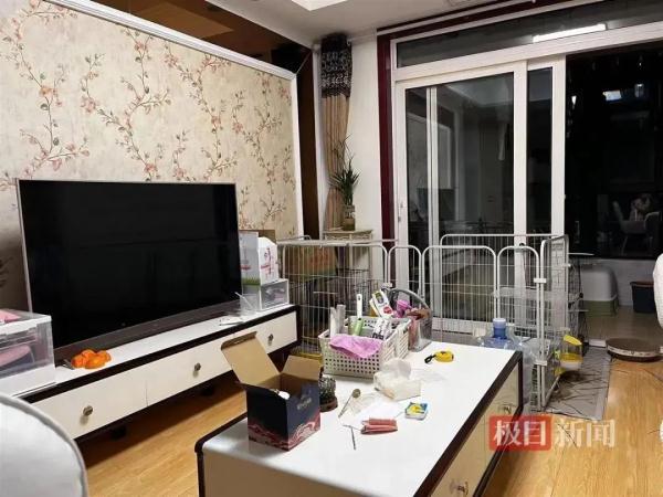 住不进校内的专硕生，有人房租是学费的3倍