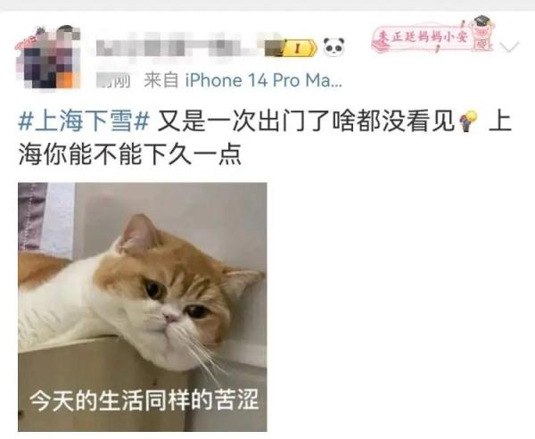 上海人激动了！纷纷举起了衣袖，终于盼来了→