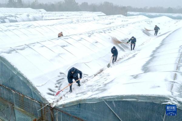 积极应对低温雨雪天气 保民生保安全