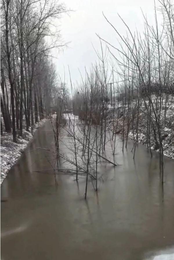 “救救孩子啊”！车辆失控坠河，快递小哥跳进冰水，救出一家五口