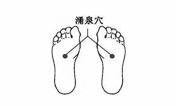 流感高发！广东发布中医药居家防治康指引