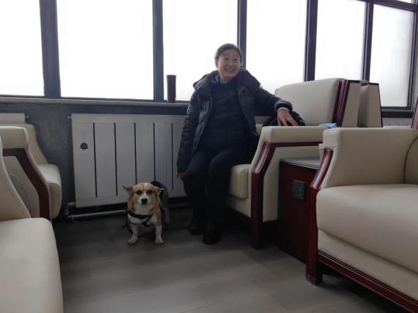 导听犬想上车？安排！