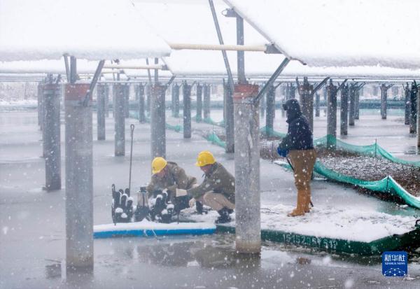 积极应对低温雨雪天气 保民生保安全