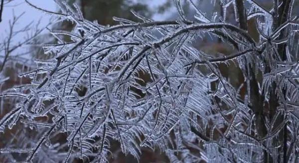 新一波冷空气今日到货广东,20日后转晴冷大风天气 新一波冷空气今日到货广东,20日后转晴冷大风天气