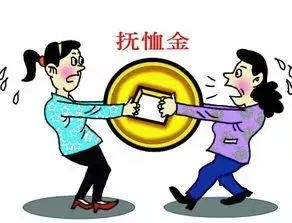 亲人因抚恤金对簿公堂，该如何分割？