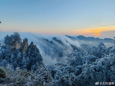 雪后的张家界更美了！云海日出雾凇多重美景一次看够