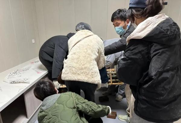 近1000只猫咪被警方拦截救下，等待领养！最新进展