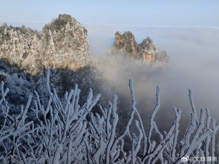 雪后的张家界更美了！云海日出雾凇多重美景一次看够