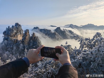 雪后的张家界更美了！云海日出雾凇多重美景一次看够