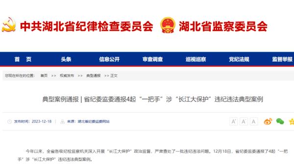 湖北省纪委监委通报4起“一把手”涉“长江大保护”违纪违法典型案例
