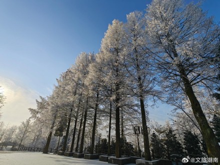 雪后的张家界更美了！云海日出雾凇多重美景一次看够