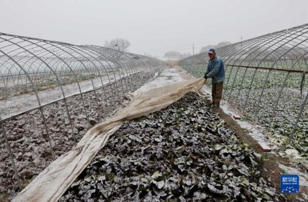 积极应对低温雨雪天气 保民生保安全